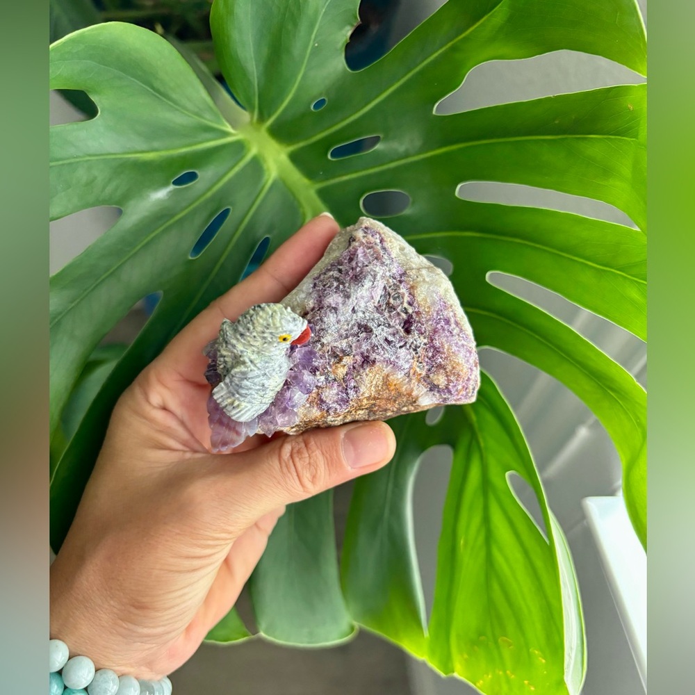 Parrot carving on Purple Fluorite ~ Handcrafted - Picture 4 of 4